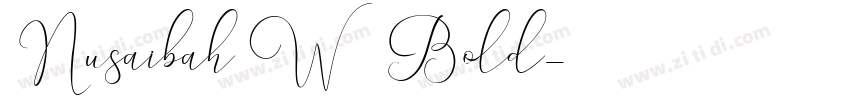 Nusaibah W21 Bold字体转换